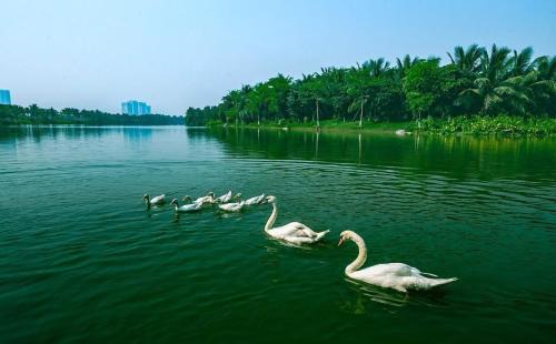 Van Giang Apartment | Đã đóng cửa
