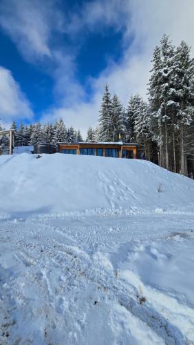 Colibita Cabin | Ținutul Lupilor