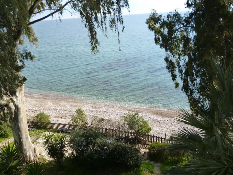 Petalidi Apartment | Εβιτα