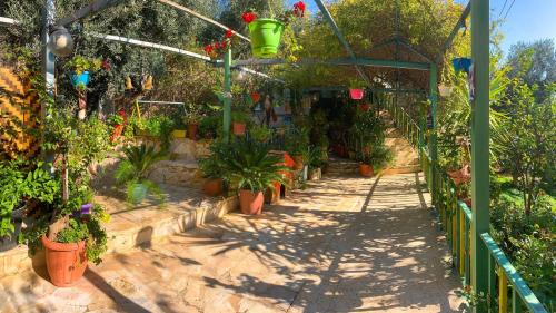 Jerash Apartment | بيت الطبيعة nature house