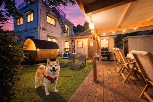 Shirahama Villa | イヌサウナリゾート伊豆白浜 愛犬と焚火とバレルサウナの暖かいヴィラ