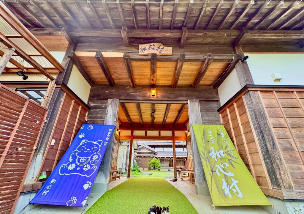 Futtsu Villa | 和心村ー猫と自然に癒されるグランピング