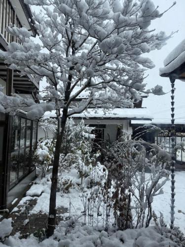 Omachi Apartment | 桜Sakura