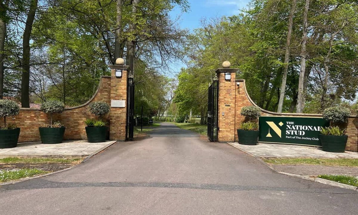 Newmarket Apartment | 1 BR Apart 14 min Walk to Tattersalls EV Charging
