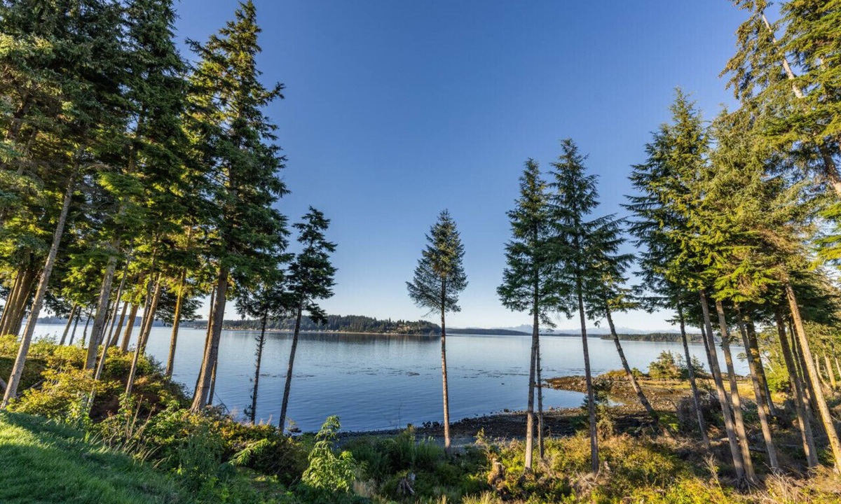 Regional District of Mount Waddington Apartment | 10 - Blackfish Cottage By The Sea at Alder Bay