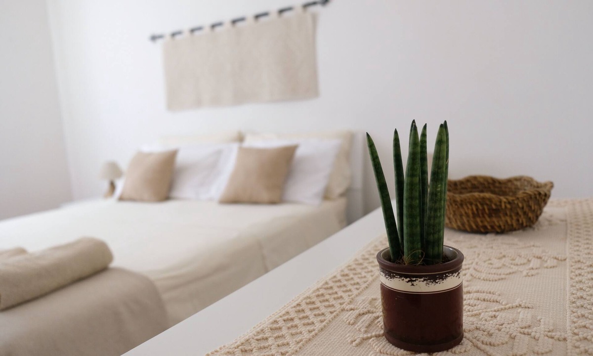 Lido Apartment | 100 m from the beach for 2-6 persons, 3-bedrooms apartment wth AC +little garden