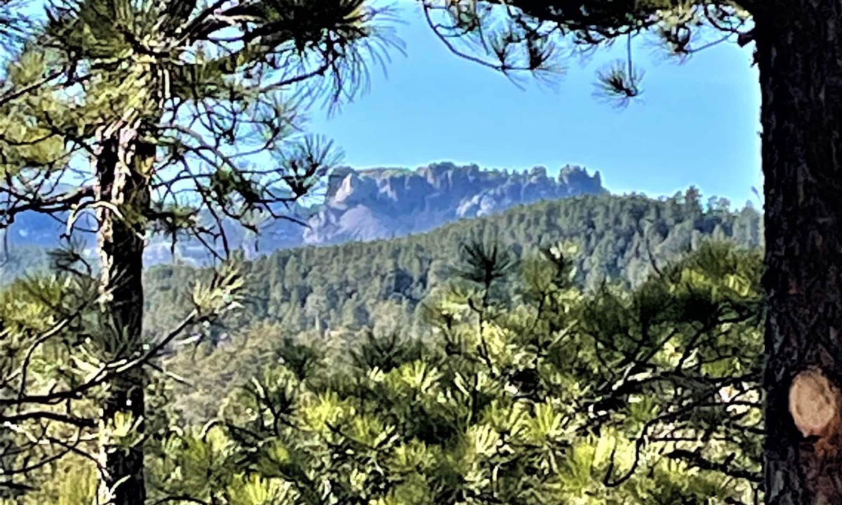 Keystone House | 15 min to Mount Rushmore, Black Hills.