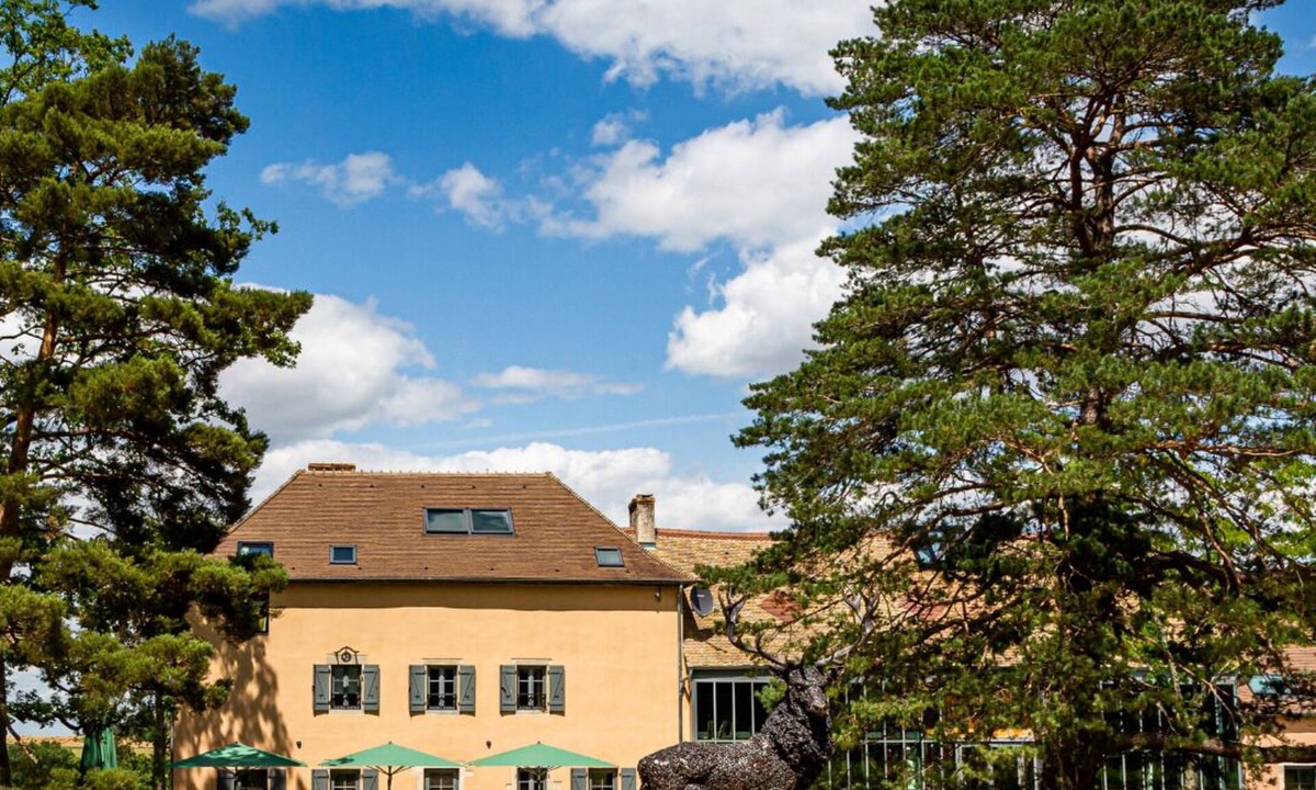 Gergy House | 15km from Beaune - Le Hameau des Quarante Arpents