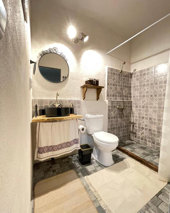 Saschiz House | 175 Guest