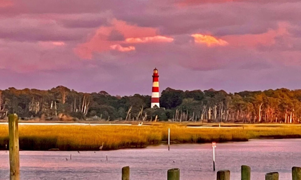 Chincoteague Cottage | 1BR Waterfront cottage with a view of the wild Chincoteague ponies!