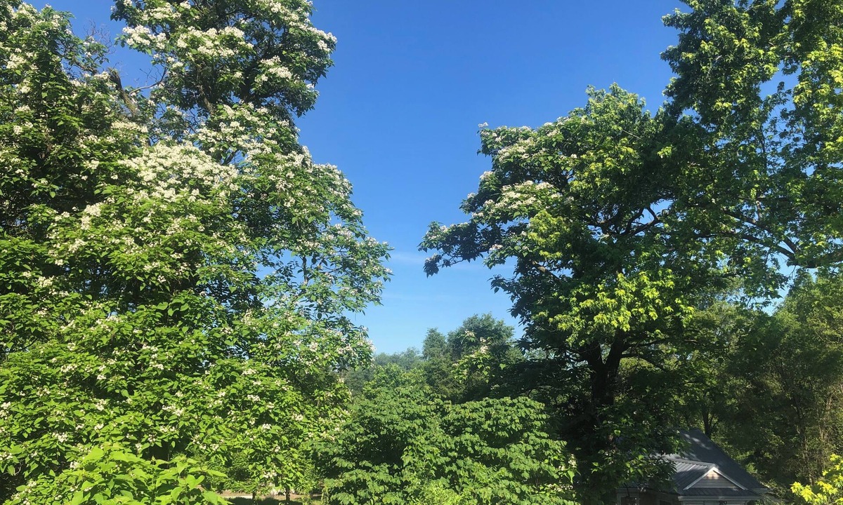 Des Moines Other | 2 Bdrm Urban Acreage just outside Des Moines city limits 10min from downtown.