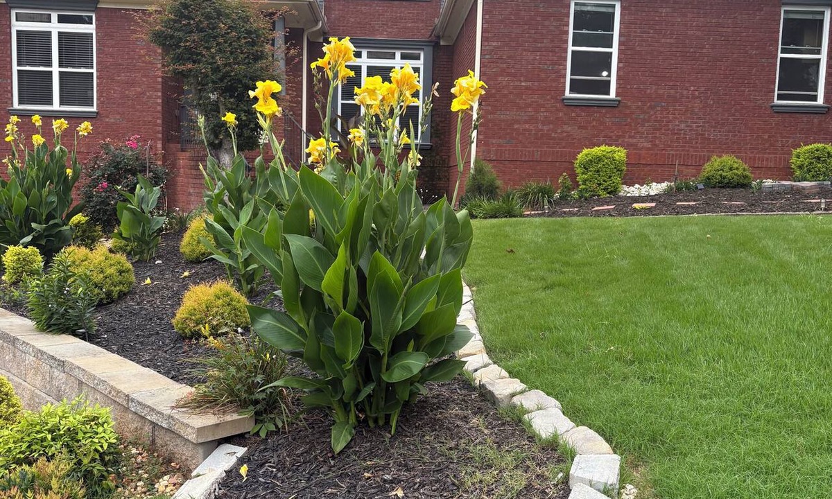 Braselton House | 2 bedrooms/private baths, wheelchair accessible. Way more to enjoy than 2 rooms.