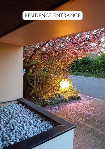 Ferney-Voltaire Apartment | 2 Soundproof Fully Equipped Studios near Geneva Airport