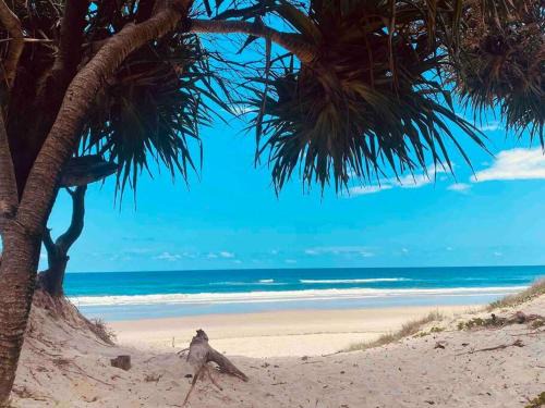 New Brighton House | 20 Steps - Beachfront Home - Stunning & Stylish - North of Byron