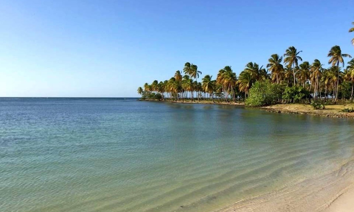 Las Galeras Bed & Breakfast | 21 Palms