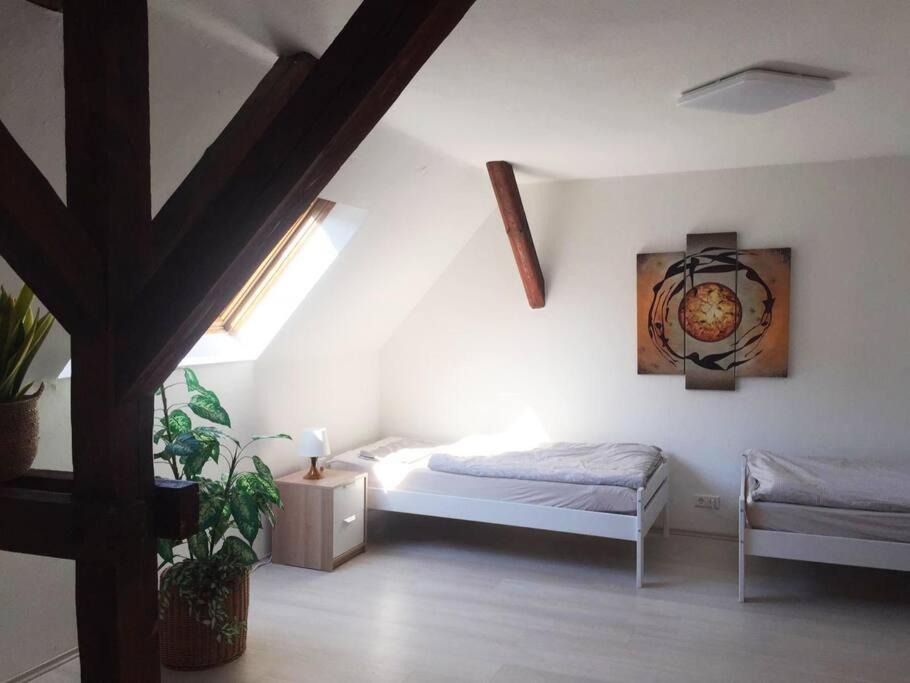 Korb Apartment | 22C große Wohnung 4 Schlafzimmer Wlan/SmartTV