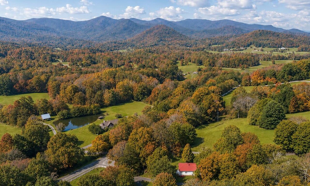 Blairsville Cabin | 2BR country home in scenic Trackrock area of Blairsville! Dog-friendly