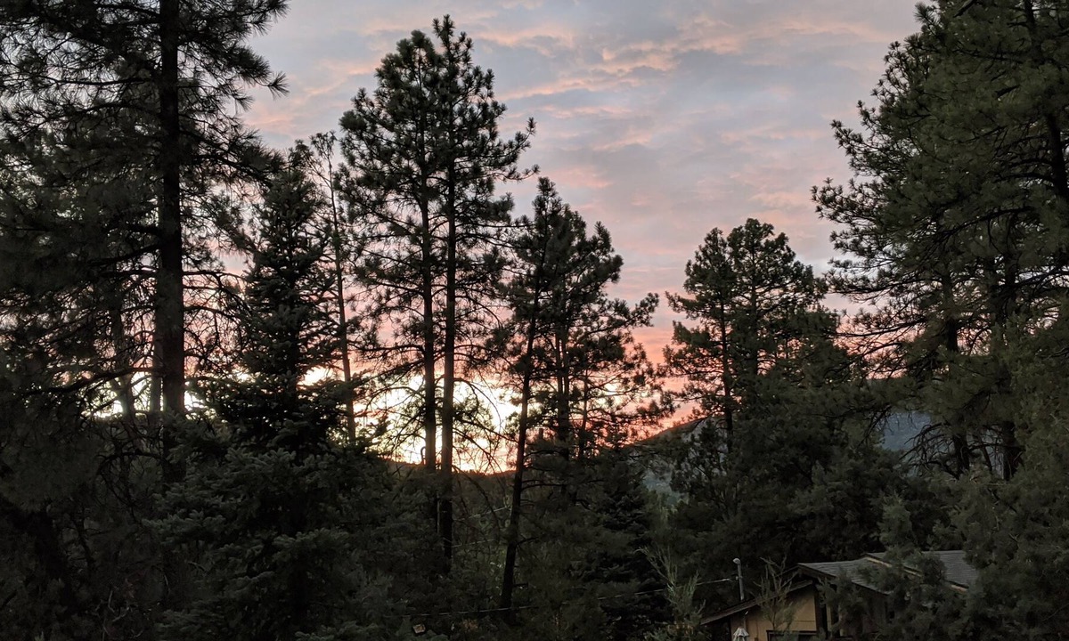 Pine Cabin | 3 Bdrm Pet Friendly Cabin, King Bed, AC, Walking distance to Pine attractions 🌲
