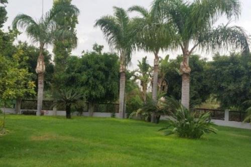 Kapparis House | 3-Bedroom House Near the Beach