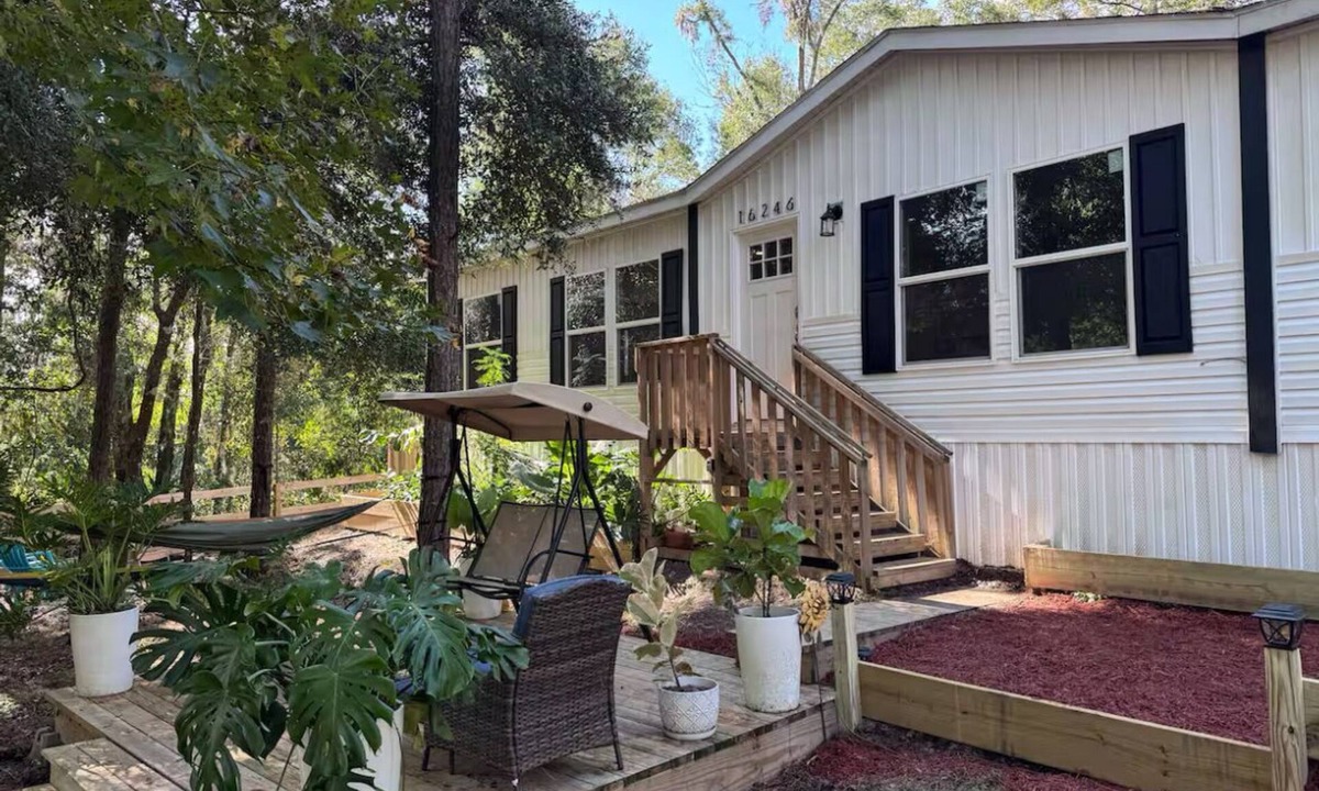Alachua House | 3 BR Cozy Pine Tree Sanctuary in Downtown Alachua