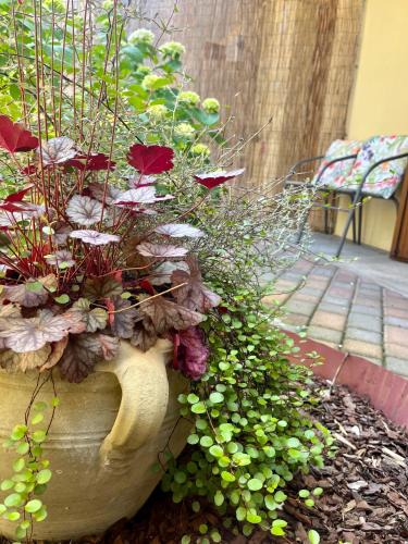 Udine Apartment | 30&Lode, Mini in zona tranquilla