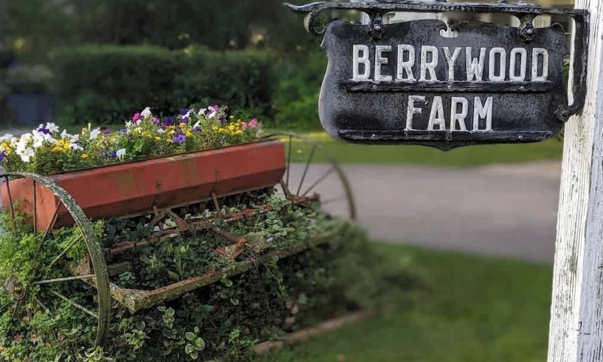 Three Oaks Cabin | 33 Acre Berrywood Farm, 3 Home Retreat with Pool