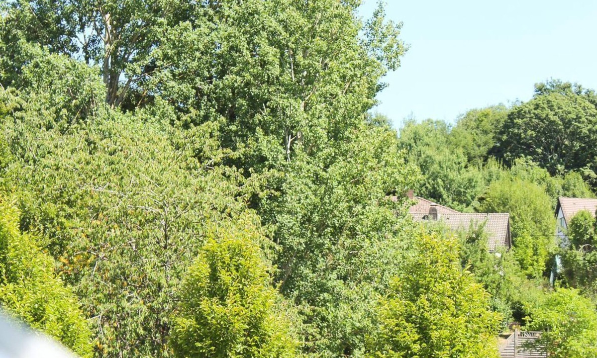 Buscheich Apartment | 4-bed vacation apartment Zur Dietzenley - Holiday apartment Gerolstein