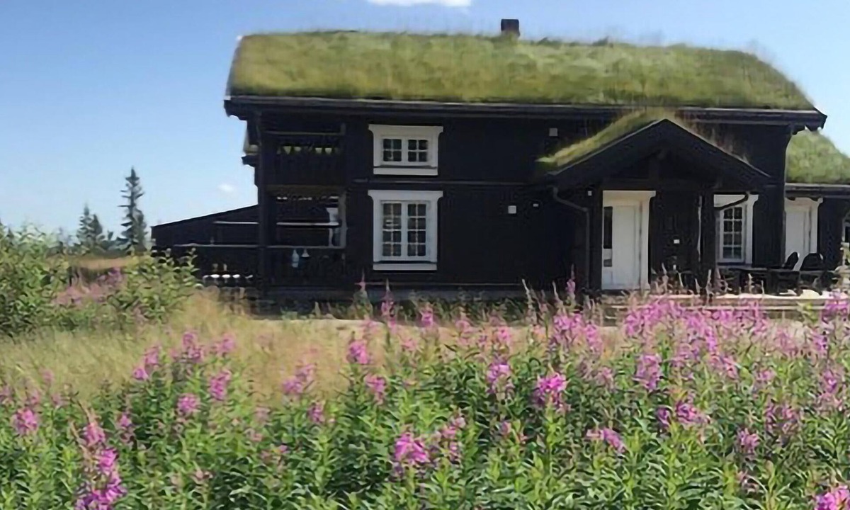 Kroderen House | 4 bedroom awesome home in Eggedal