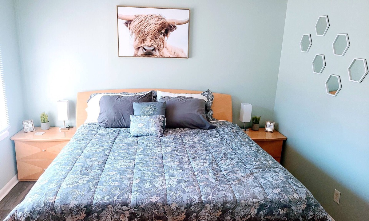 Rex House | 420’s Dream Palace