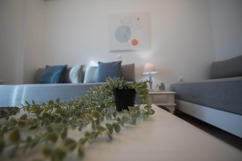 Old Quarter Apartment | 4k GEM