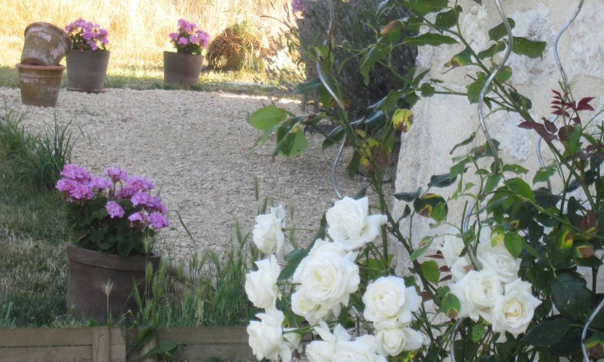 Serignac House | 5mn from a lake Quiet country house (pets welcome)