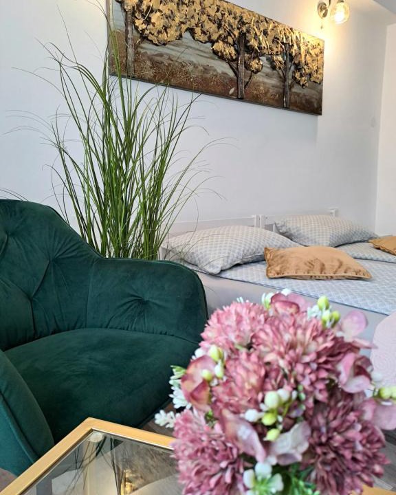Miercurea-Ciuc Apartment | 7 Levél Central Apartments