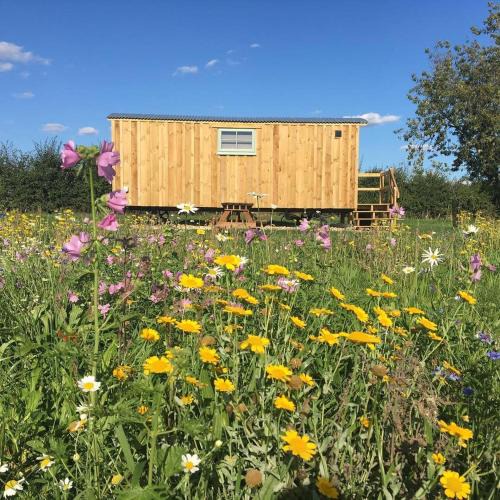 Bedfield House | 7 - Poppy