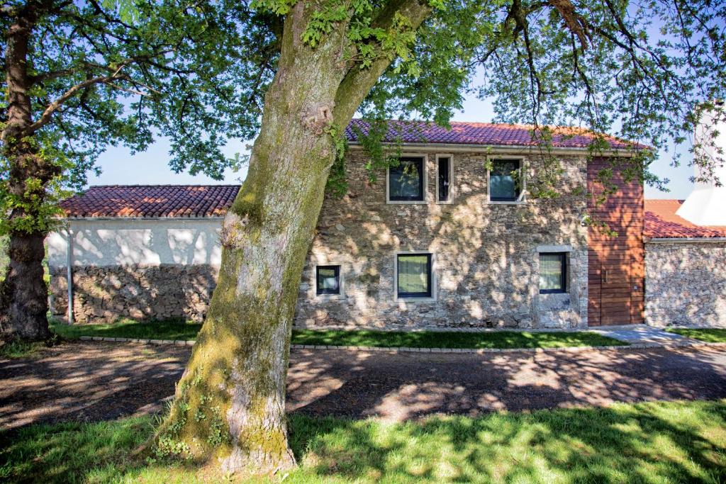 Dormea House | A casa do viveiro
