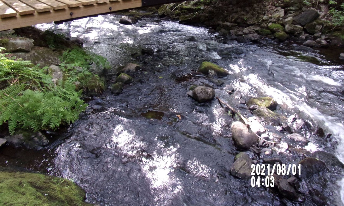 Holden House | A cozy cottage... Cascading waterfall and a 70 acre nature preserve all private.