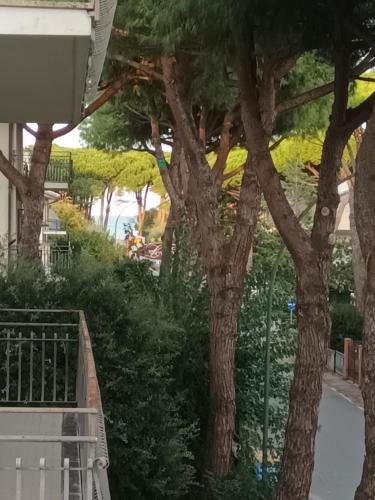 Pinarella Apartment | A due passi dal mare