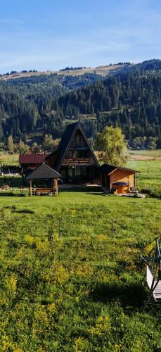 Vatra Dornei Cabin | A Frame Alpin