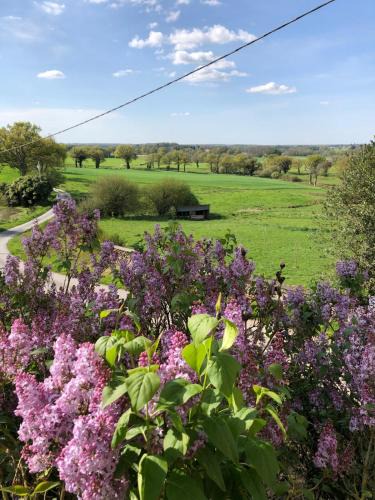 Arnac-la-Poste Bed & Breakfast | A la terre ferme