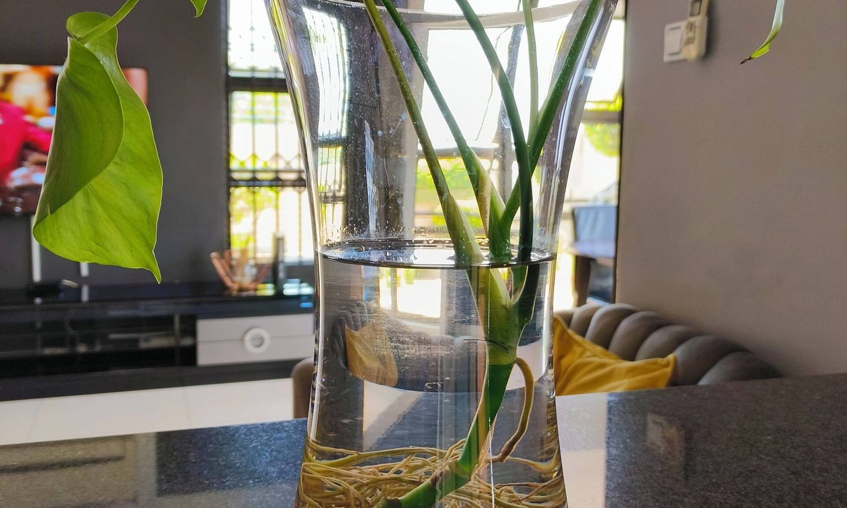Gaborone Villa | A Modern home, in the heart of the city, 2 minutes to the biggest shopping mall