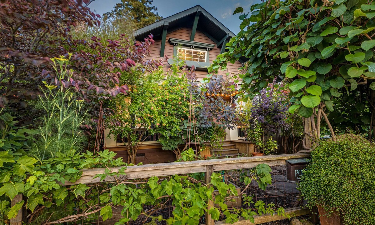 Petaluma House | A private, comfy 3bd-2ba historic home in the heart of downtown Petaluma!