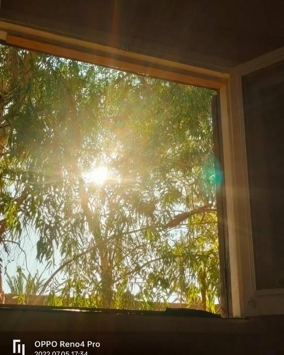 Siwa Bed & Breakfast | A&S House