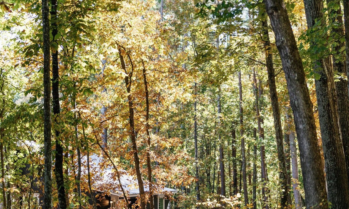 Silver Creek Cottage | A secluded haven on 5,000 acres in NW Georgia, just 45 minutes from Atlanta and Chattanooga, and a quick 10-minute drive to downtown Rome. Explore private trails along the Etowah river, bask in wildlife, and gaze at mesmerizing stars. Your perfect es