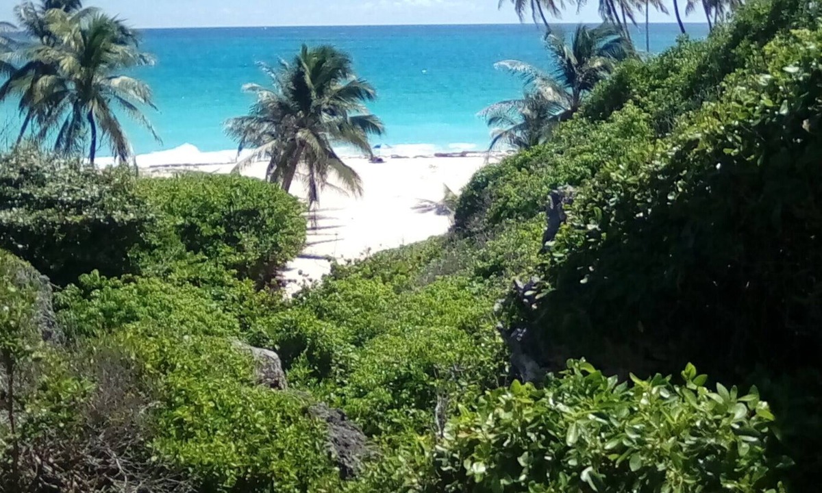 Bottom Bay Villa | A Self Contained Villa 200 meters from Bottom Bay