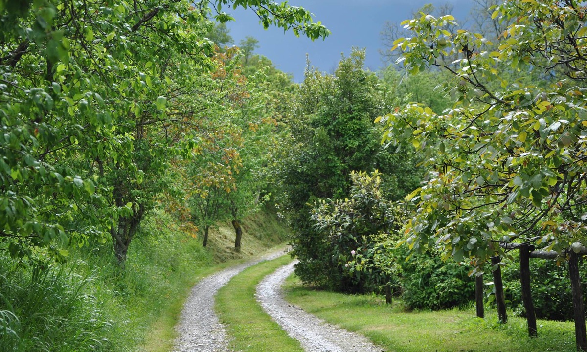 Radicondoli House | A wholly converted barn with all comforts, ideal for a quiet holiday!