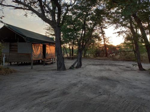 Mokhokhelo Other | Acacia Camping