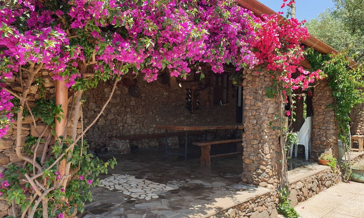 Borore Bed & Breakfast | Accogliente affittacamere