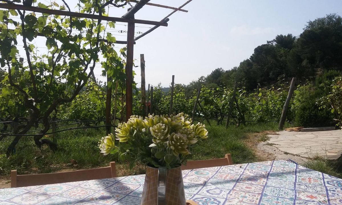 Imperia House | Accommodation in vineyard, sea view, Wifi, parking space