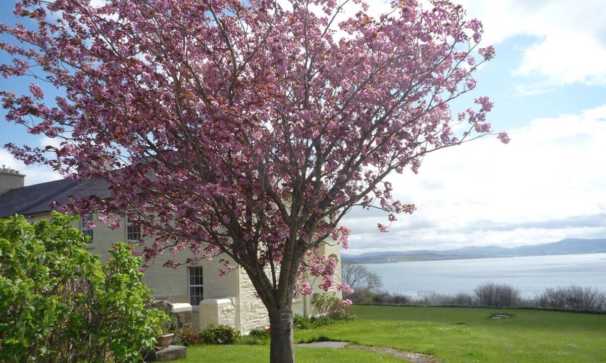 Carrowkeel House | Ackerley Cottage