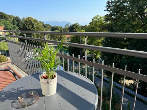 Gignese Apartment | Adua Residence