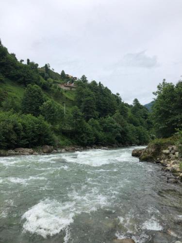 Ayder Resort | Afara Bungalows Otel & Cafe